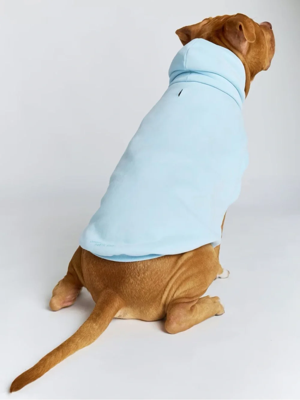 Soft Light Blue Dog Hoodie for Everyday Comfort